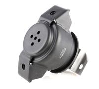 RIDEX 247E0029 Support moteur