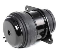 RIDEX 247E0032 Support moteur