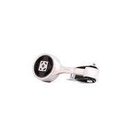 RIDEX 247E0040 Support moteur