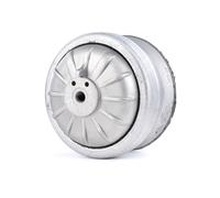 RIDEX 247E0060 Support moteur