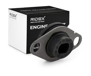 RIDEX 247E0137 Support moteur Arrière Gauche Compatible avec RENAULT Clio II 3/5 portes BB, CB, BB0/1/2, CB0/1/2