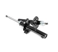 RIDEX 2x Amortisseur Amortisseur sur ressort Pression de gaz Essieu avant Kit amortisseur pour VW Golf VI 3/5 portes (5K1) Golf V 3/5 portes (1K1) Polo IV 3/5 portes (9N, 9A) Tiguan I (5N) CC (358)