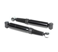 RIDEX 2x Amortisseur Amortisseur télescopique Pression de gaz Essieu arrière Kit amortisseur convient pour PEUGEOT 206 3/5 portes (2A/C) 854S1564