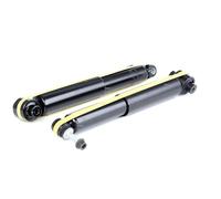 RIDEX 2x Amortisseur Amortisseur télescopique Pression de gaz Essieu arrière Kit amortisseur pour RENAULT Megane III 3/5 portes (BZ0/1) 854S1576