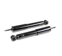 RIDEX 2x Amortisseur Amortisseur télescopique Pression de gaz Essieu avant Kit amortisseur pour VW Taro Pick-up 854S1636