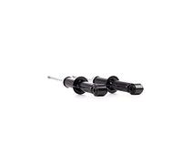 RIDEX 2x Amortisseur Arrière 2x Jeu, Pression de gaz Compatible avec MINI 3/5 portes R56 3/5 portes R50, R53 Clubman R55 Cabriolet R57 Coupe R58 Roadster R59