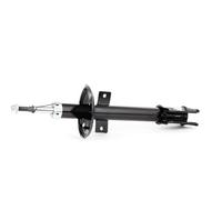 RIDEX 2x Amortisseur Arrière Pression de gaz Compatible avec RENAULT Duster HM Duster HS, DACIA DUSTER