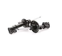 RIDEX 2x Amortisseur Avant Avant Droite Avant Gauche 2x Jeu, Pression de gaz Compatible avec FIAT Qubo 225 Fiorino III Van/Break 225 Fiorino MPV 225, PEUGEOT Bipper Van AA Bipper Tepee, CITROËN
