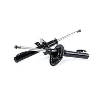 RIDEX 2x Amortisseur Jambe de suspension Pression de gaz Essieu avant Kit amortisseur pour RENAULT Scénic II (JM) 854S1068