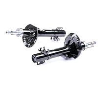 RIDEX 2x Amortisseur Jambe de suspension Pression de gaz Essieu avant Kit amortisseur pour VW Polo V 3/5 portes (6R1, 6C1) Polo VI (AW1, BZ1) Polo V Berline (602, 604, 612, 614) Ameo (631) Vento (1B)