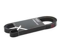 RIDEX 305B0285 Courroie Poly-V Compatible avec RENAULT Clio 2 3/5 portes BB, CB, BB0/1/2, CB0/1/2