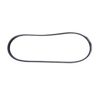 RIDEX 305P0010 Courroie Poly-V