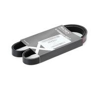 RIDEX 305P0031 Courroie Poly-V
