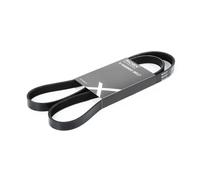 RIDEX 305P0040 Courroie Poly-V