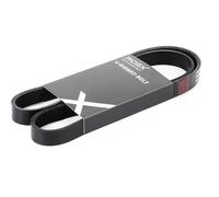 RIDEX 305P0062 Courroie Poly-V Compatible avec VW Polo IV 3/5 portes 9N, 9A