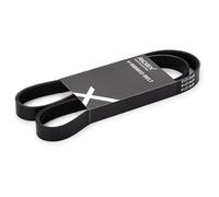 RIDEX 305P0065 Courroie Poly-V Compatible avec RENAULT Clio 2 3/5 portes BB, CB, BB0/1/2, CB0/1/2