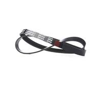 RIDEX 305P0066 Courroie Poly-V Compatible avec MERCEDES-BENZ Intouro O 560
