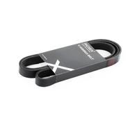 RIDEX 305P0081 Courroie Poly-V