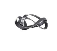 RIDEX 305P0082 Courroie Poly-V Compatible avec MERCEDES-BENZ Berline W204