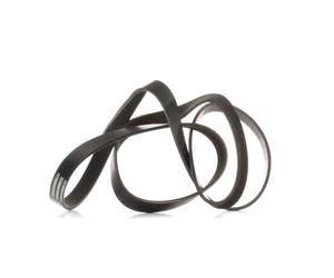 RIDEX 305P0090 Courroie Poly-V