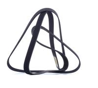 RIDEX 305P0109 Courroie Poly-V