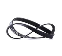 RIDEX 305P0130 Courroie Poly-V Compatible avec VW Golf 5 3/5 portes 1K1