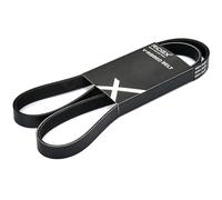 RIDEX 305P0179 Courroie Poly-V Compatible avec RENAULT Clio 2 3/5 portes BB, CB, BB0/1/2, CB0/1/2