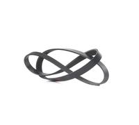 RIDEX 305P0190 Courroie Poly-V