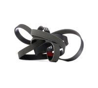 RIDEX 305P0206 Courroie Poly-V