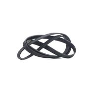 RIDEX 305P0208 Courroie Poly-V