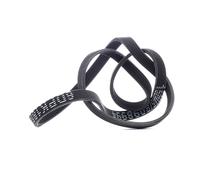 RIDEX 305P0209 Courroie Poly-V