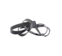 RIDEX 305P0231 Courroie Poly-V