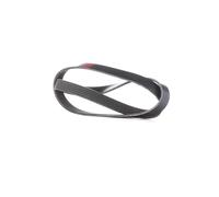 RIDEX 305P0242 Courroie Poly-V