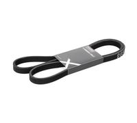 RIDEX 305P0245 Courroie Poly-V