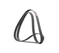 RIDEX 305P0246 Courroie Poly-V