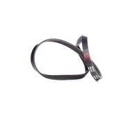 RIDEX 305P0293 Courroie Poly-V