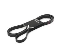 RIDEX 305P0303 Courroie Poly-V