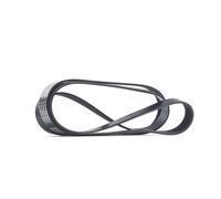 RIDEX 305P0318 Courroie Poly-V