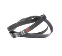 RIDEX 305P0319 Courroie Poly-V