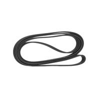 RIDEX 305P0330 Courroie Poly-V