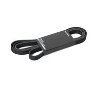 RIDEX 305P0332 Courroie Poly-V
