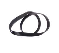 RIDEX 305P0336 Courroie Poly-V