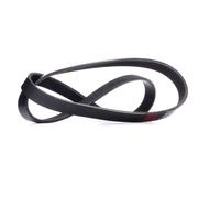 RIDEX 305P0341 Courroie Poly-V