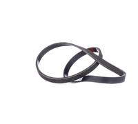 RIDEX 305P0351 Courroie Poly-V