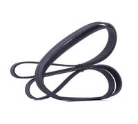 RIDEX 305P0365 Courroie Poly-V