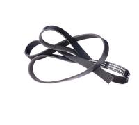 RIDEX 305P0402 Courroie Poly-V