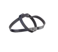 RIDEX 305P0403 Courroie Poly-V