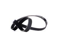RIDEX 305P0425 Courroie Poly-V