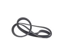 RIDEX Courroie Poly-V 305P0459 Cayenne (9PA) 2950mm