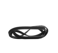 RIDEX 305P0461 Courroie Poly-V
